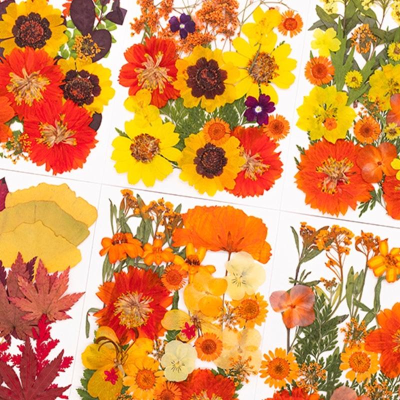 Resin Craft Ideas - Suszony prasowany kwiat do form żywicznych