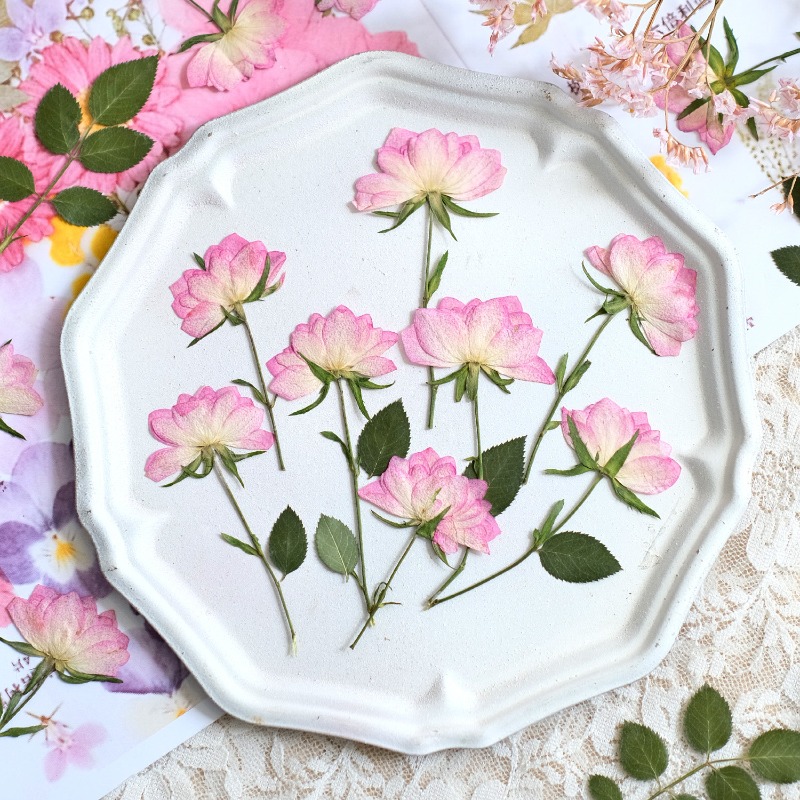 Resin Craft Ideas - 12 sztuk, prawdziwe suszone i prasowane